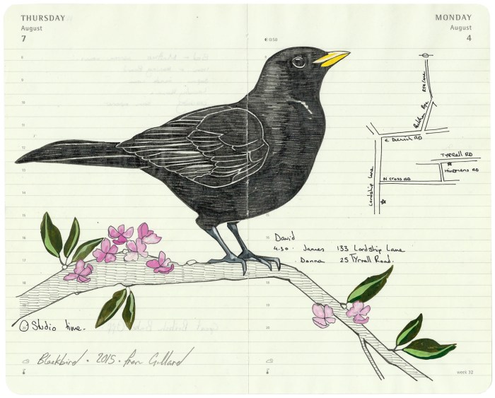 Single . Blackbird