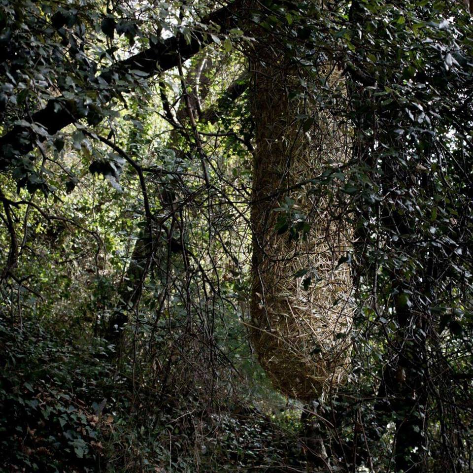 Kim Cao - cocoon 2015