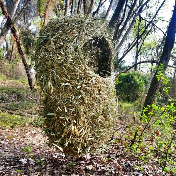 Kim Cao - wandering nest 2013.jpg