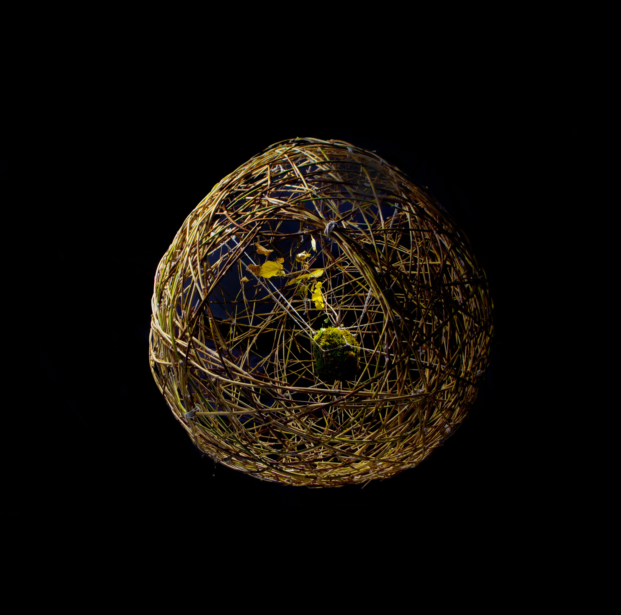 Nid Vivant - Kim Cao 2015 - 240cm