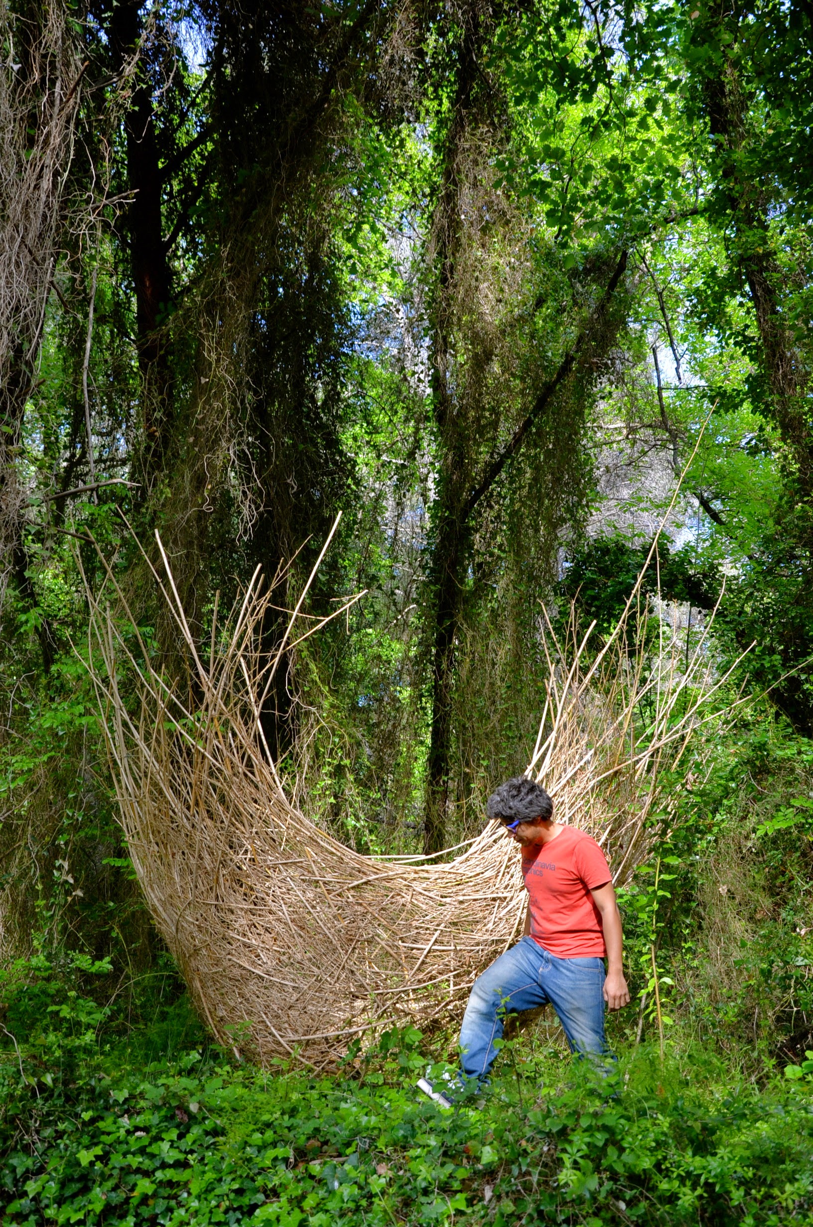 photo KIM CAO Portrait HD ©Dana Sardet