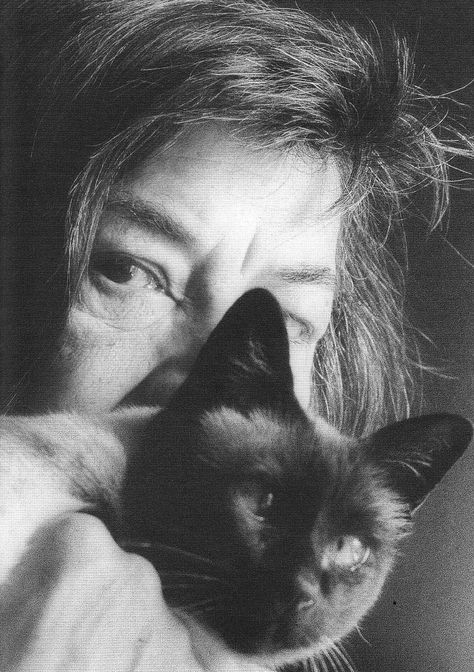 401db3cbec3773714a12871f23f43e40